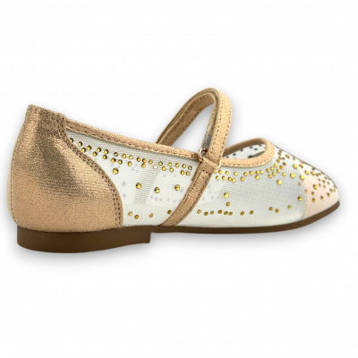 IFU_1214-29_gold (3)