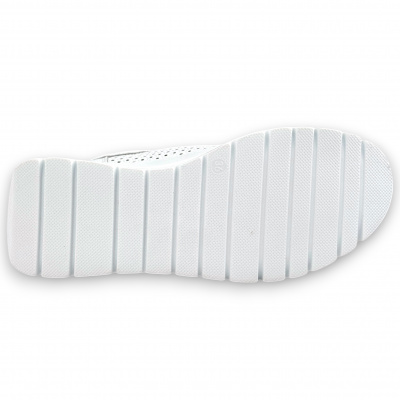GS244_01SP-WT (4)